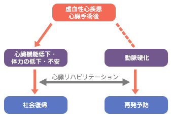 心臓リハビリテーション | 東京大学医学部附属病院 循環器内科